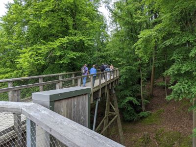 Baumwipfelpfad bei Binz